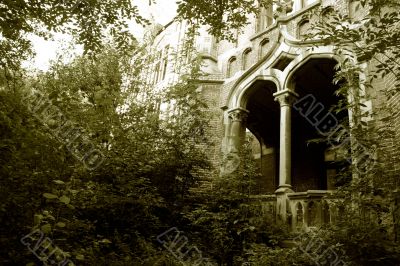 Overgrown entrance