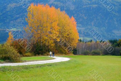 family trip in autumn