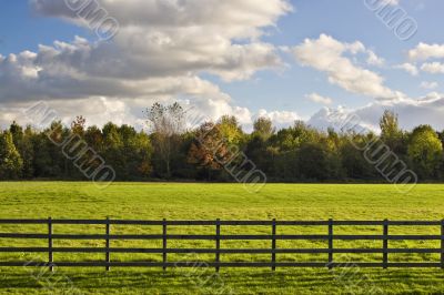 Green field