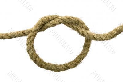 Variants of the rope with node