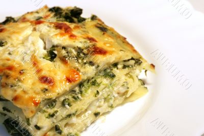 Vegetarian lasagne with ricotta cheese and spinach filling