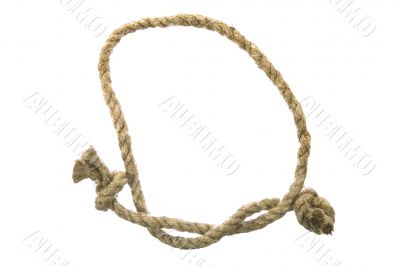 Variants of the rope with node