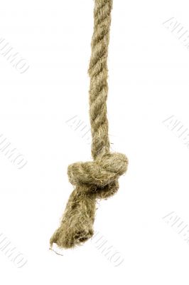 Variants of the rope with node