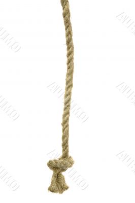 Variants of the rope with node