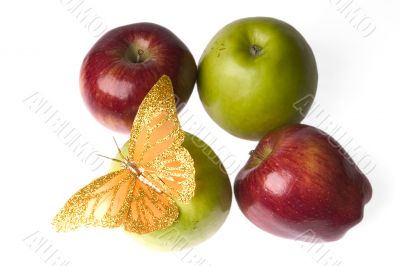 apples with an butterfly apples with an butterfly