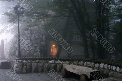 evening in a park