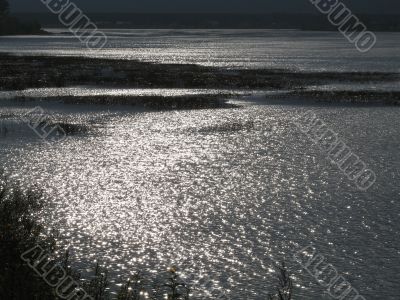 sunshine in the lake