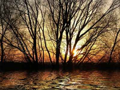 Beautiful sunset Beautiful sunset