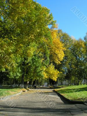 Autumn in the city