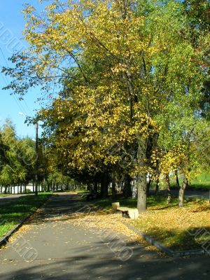 Autumn in the city Autumn in the city