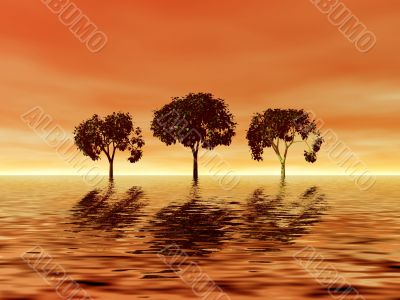 Golden sunrise. Trees Golden sunrise. Trees