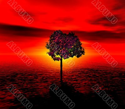 Lonely tree. red sunset Lonely tree. red sunset