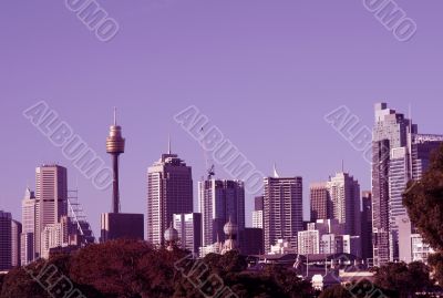 Sydney Skyline In Magenta