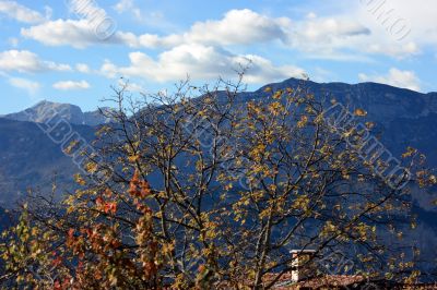 Alpine autumn Alpine autumn