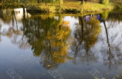The world behind the lake surface