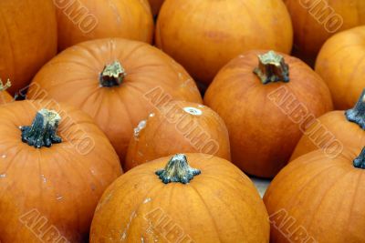 Pumpkins