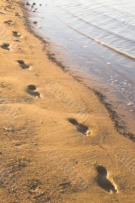 Footprints in the Sand