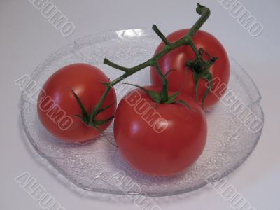 The branch of tomato