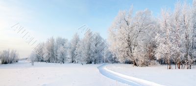 Panorama of freezing day.