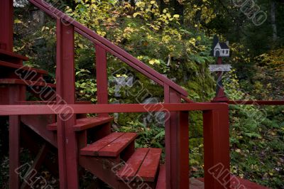 Steps in the forest