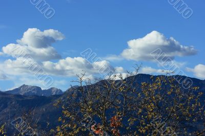 White cumulus over mountain