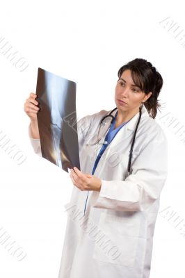 Female doctor examining x-ray