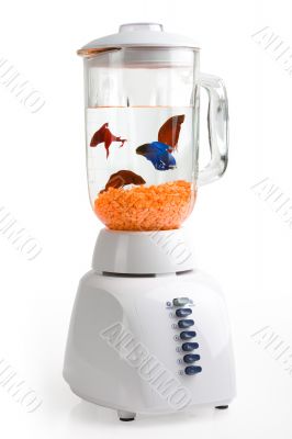 Fish Mix Fish Mix