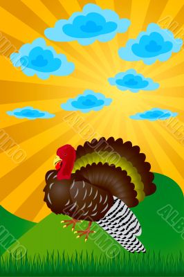 Turkey. Day of thanksgiving. The vector image.