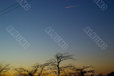 Sunset with trees Sunset with trees