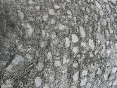 stony ground