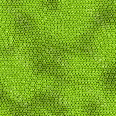 Iguana Skin
