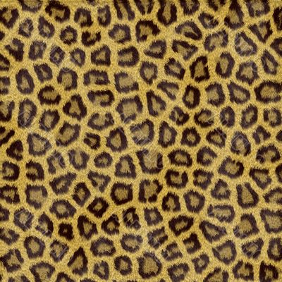 Leopard Fur