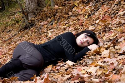 Chanelle in Autumn Chanelle in Autumn