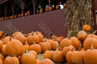 Pumpkins Pumpkins