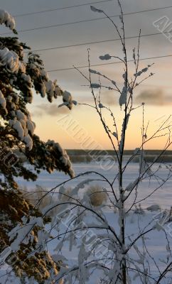 winter sunset winter sunset