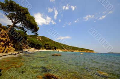 Corsica landscape (france)