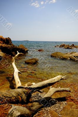 Corsica landscape (france)