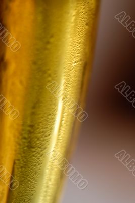 glass of beer