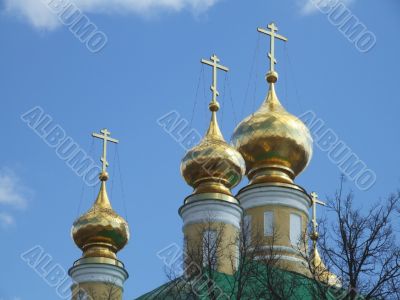 Domes of a temple