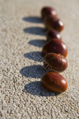 Chestnuts and shadows.....