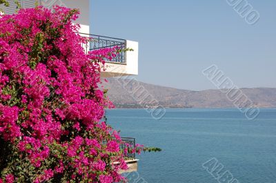 Elounda