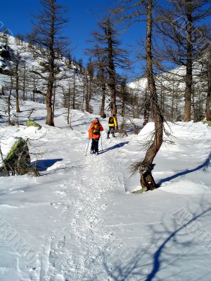 Winter snow trekking