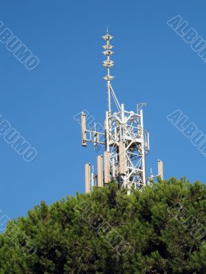 cellular antenna