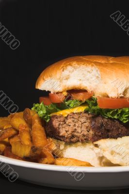 Cheeseburger and Fries