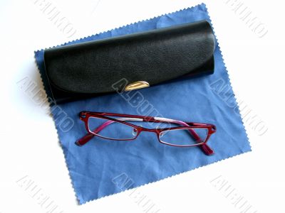 Eyeglasses and case