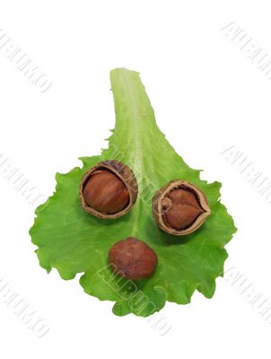 Leaf of salad and nuts