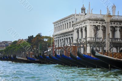 Venice Venice