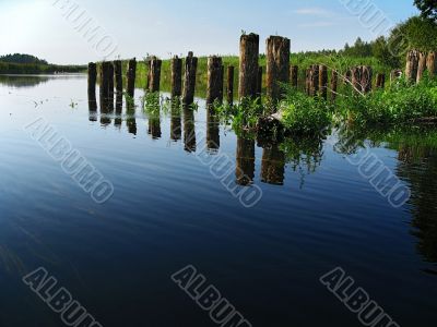 piles of the old bridge