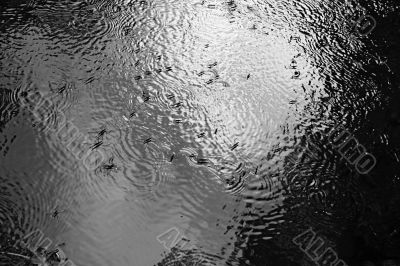 ripple on the water ripple on the water
