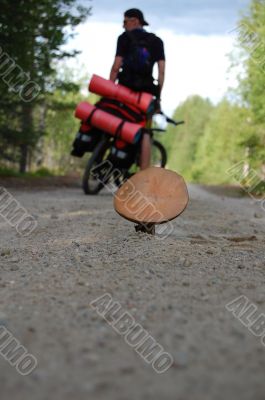 Bicycle travel